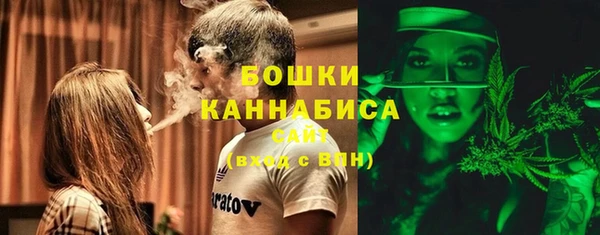 PSILOCYBIN Киренск