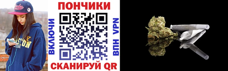 Конопля гибрид  Печоры 
